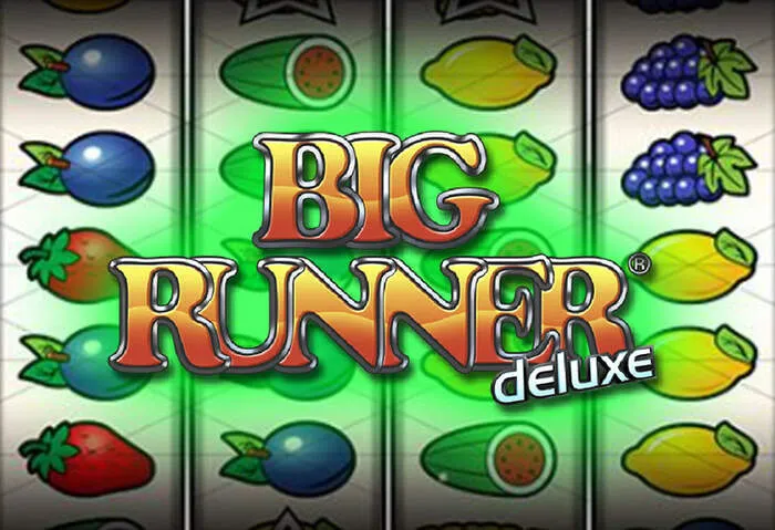 Interface utilisateur fluide et jeux immersifs offerts par Frenzy Casino.